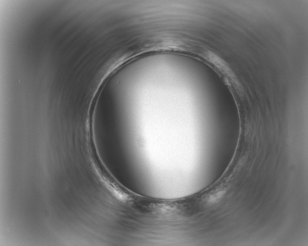 X0000076071234200609291308