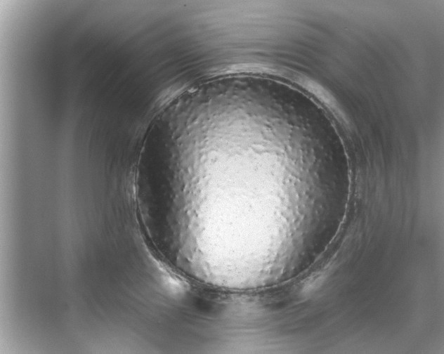 X0000076071241200609291308