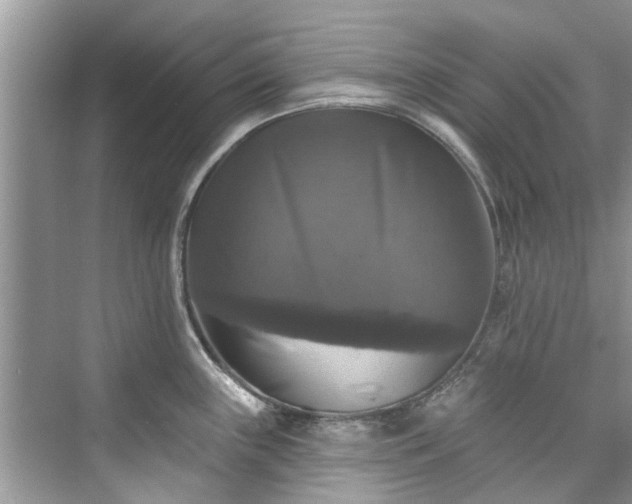 X0000076071243200609291309