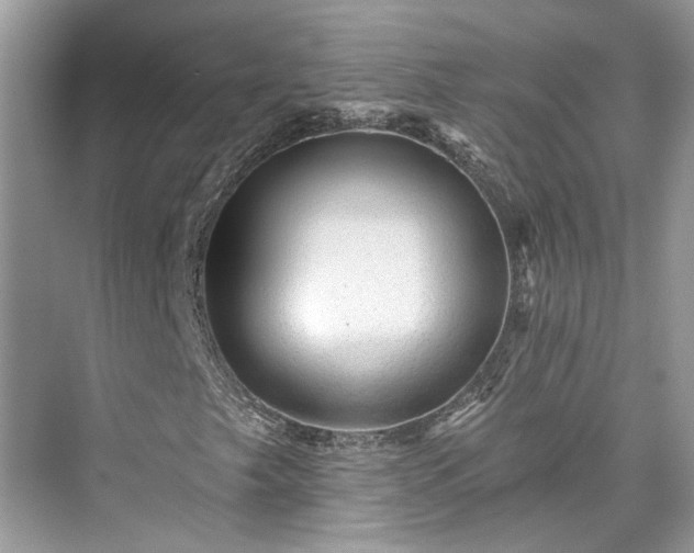 X0000076071249200609291308