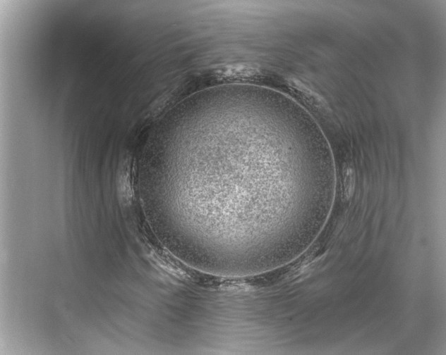 X0000076071250200609291308