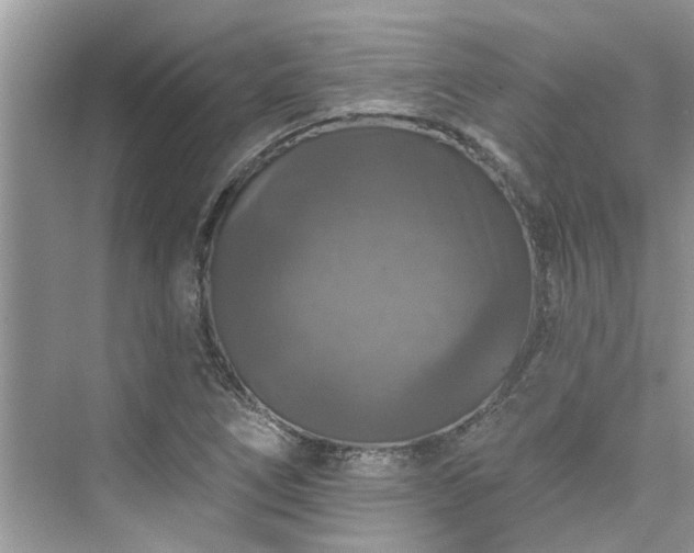 X0000076071266200609291308