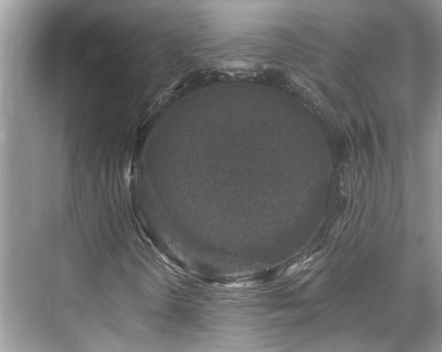 X0000076071298200609291306
