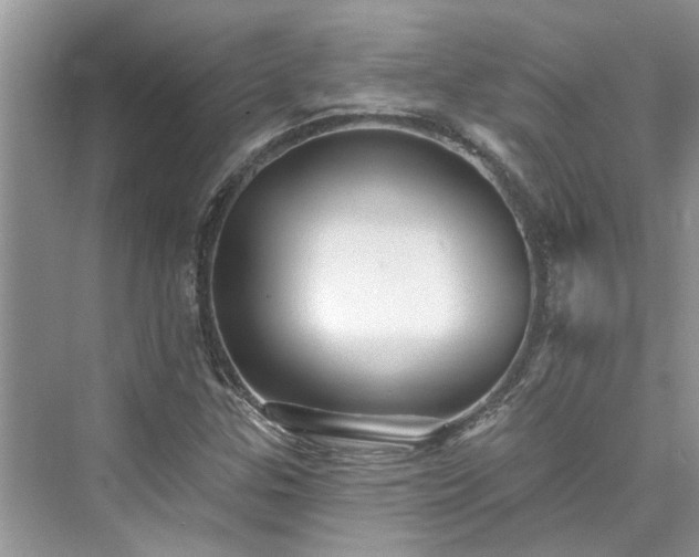 X0000076071307200609291306