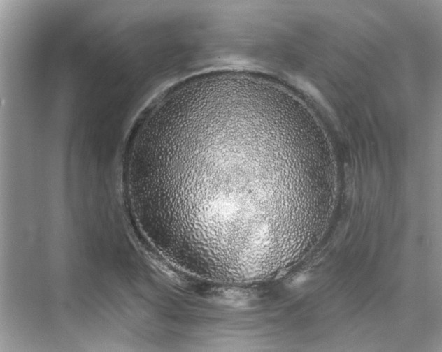 X0000076071318200609291307