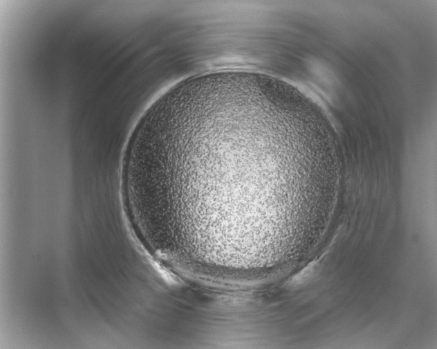 X0000076071333200609291307