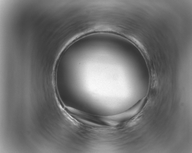 X0000076071342200609291307