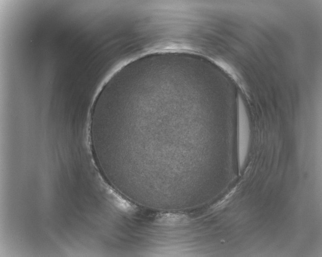 X0000076071374200609291306