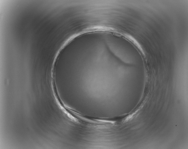 X0000076071381200609291306