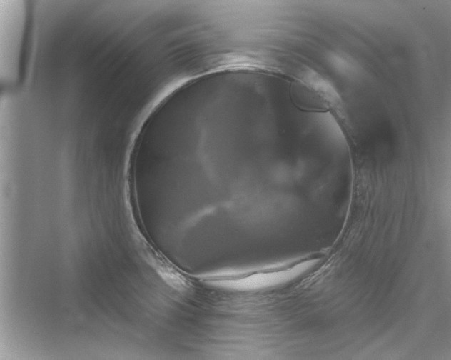 X0000076071427200609291305