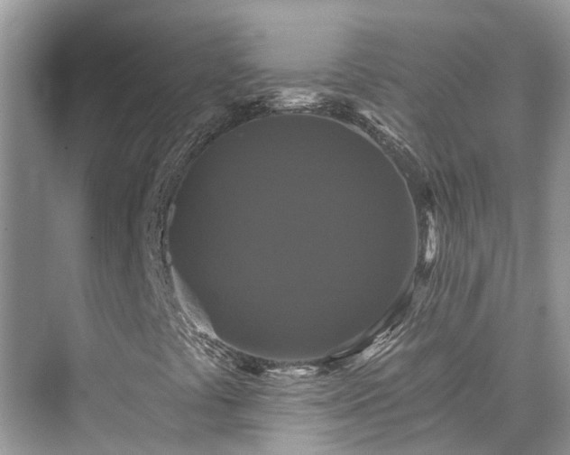 X0000076071441200609291305