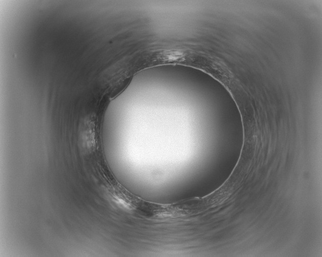 X0000076071442200609291305