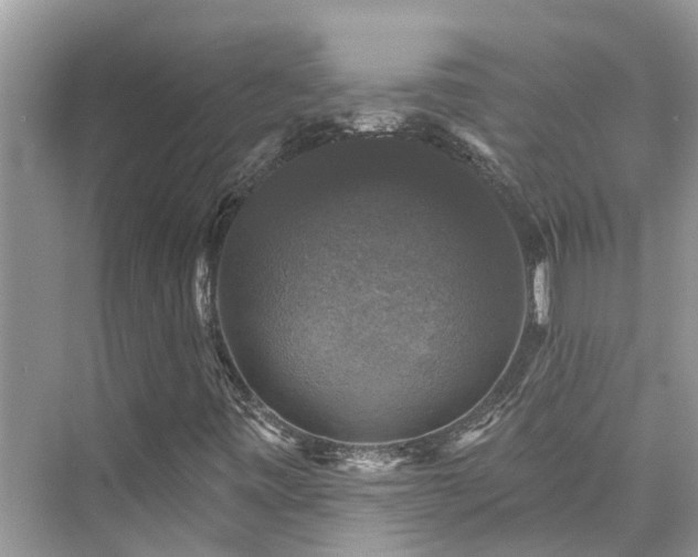 X0000076071443200609291305