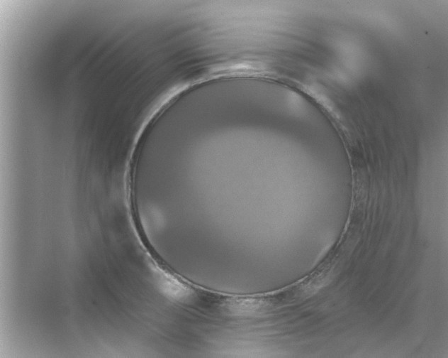 X0000076071474200609291304