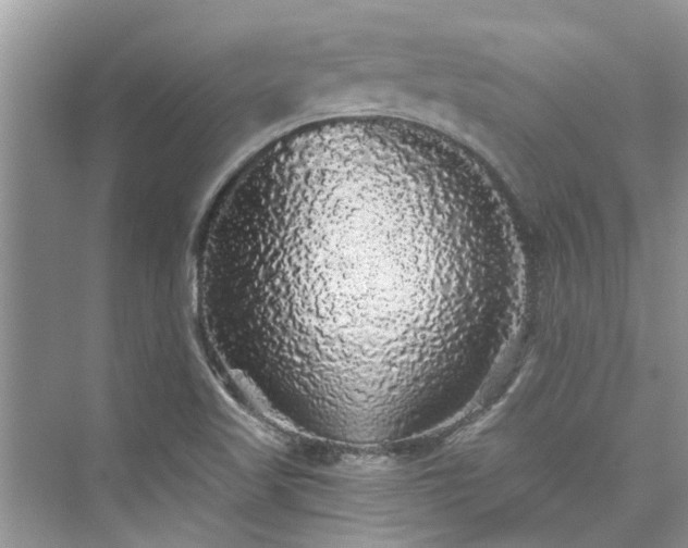 X0000076071509200609291303