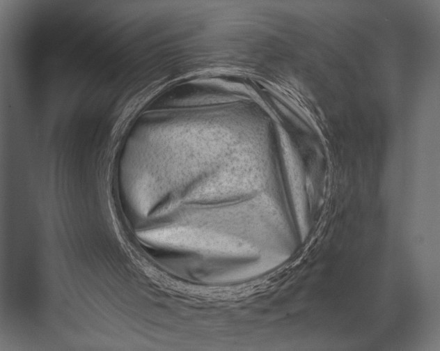 X0000076070001200610061614