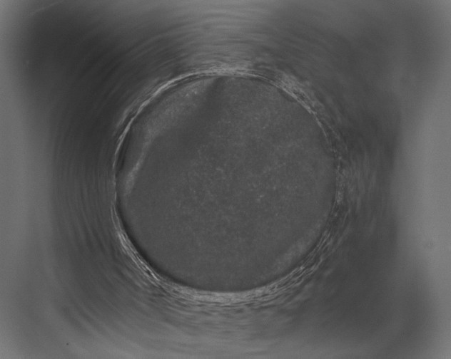 X0000076070002200610061614