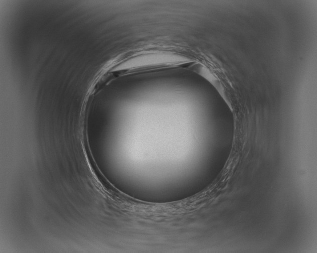 X0000076070003200610061614