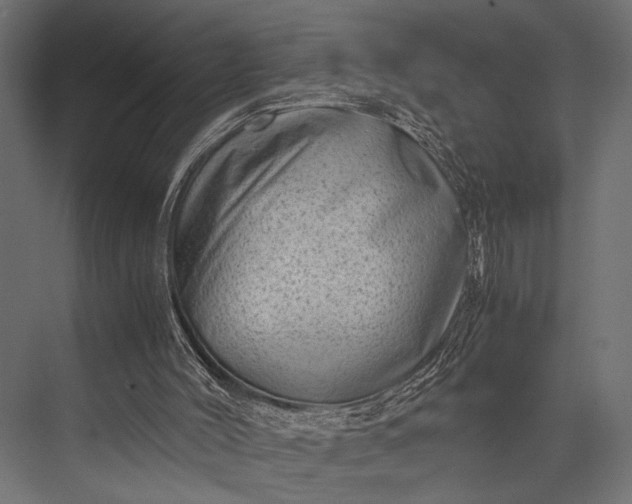 X0000076070004200610061614