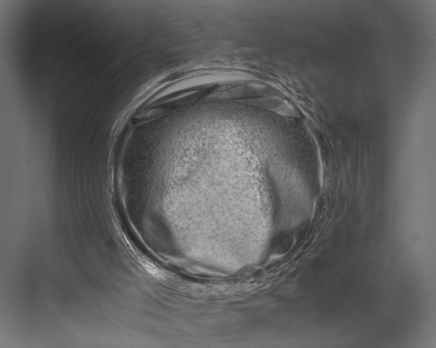 X0000076070005200610061614