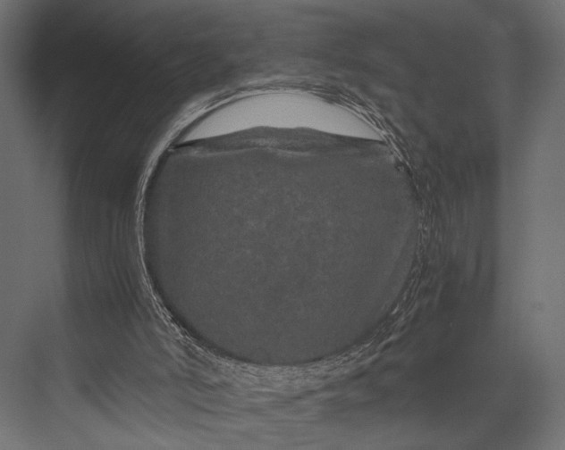 X0000076070006200610061614