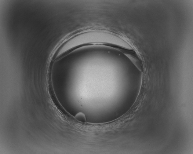 X0000076070007200610061614