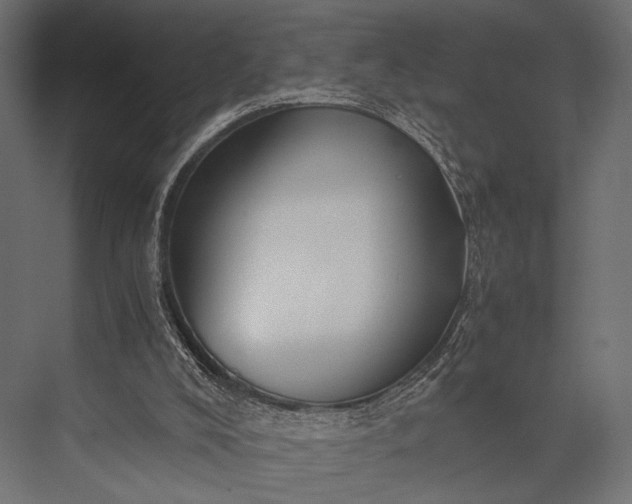 X0000076070008200610061614