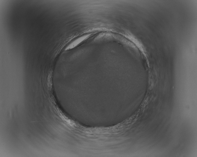 X0000076070009200610061614