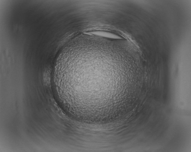 X0000076070010200610061614