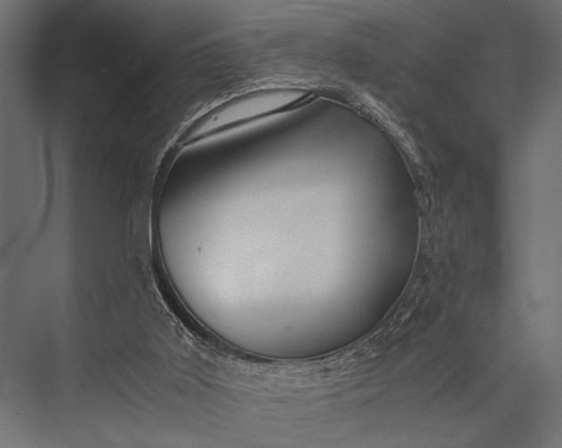 X0000076070011200610061614