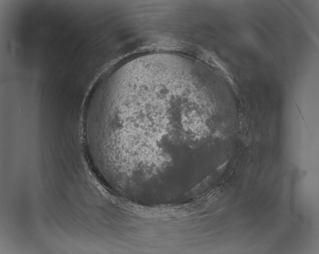 X0000076070012200610061614