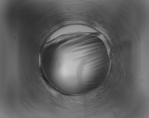 X0000076070013200610061614