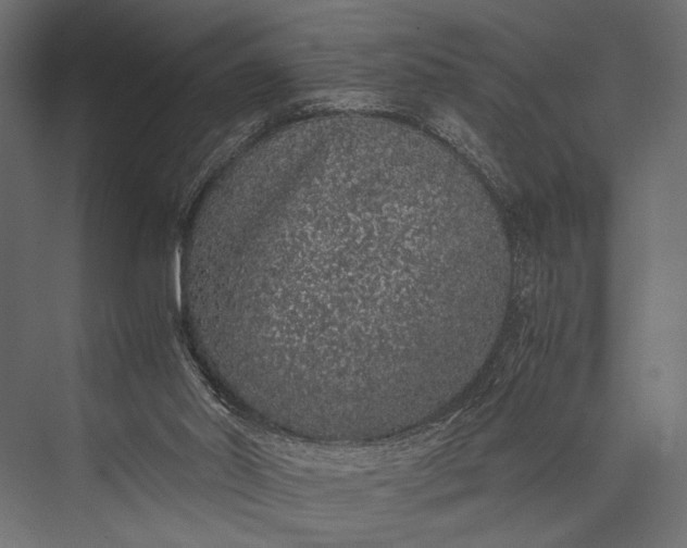 X0000076070014200610061614