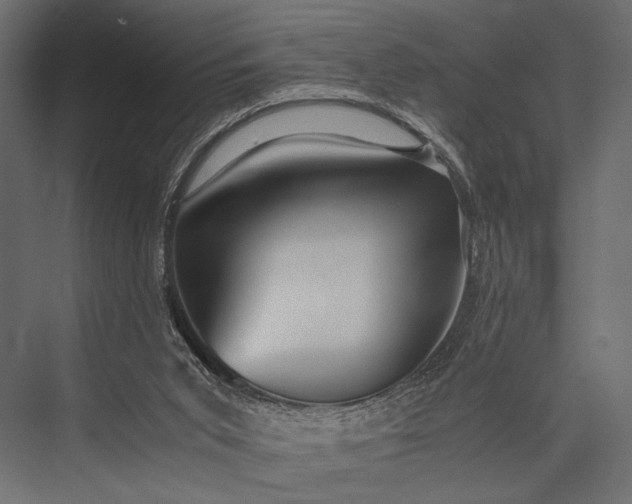 X0000076070015200610061614