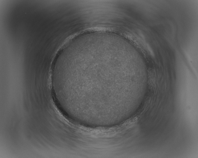 X0000076070016200610061614