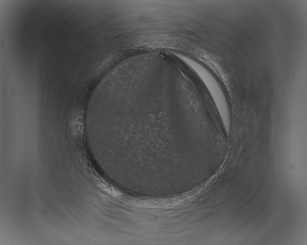 X0000076070017200610061614