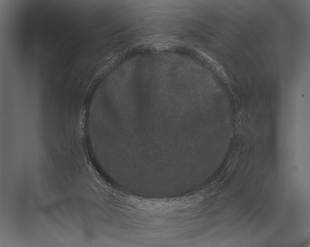 X0000076070018200610061614