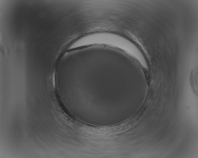 X0000076070019200610061614