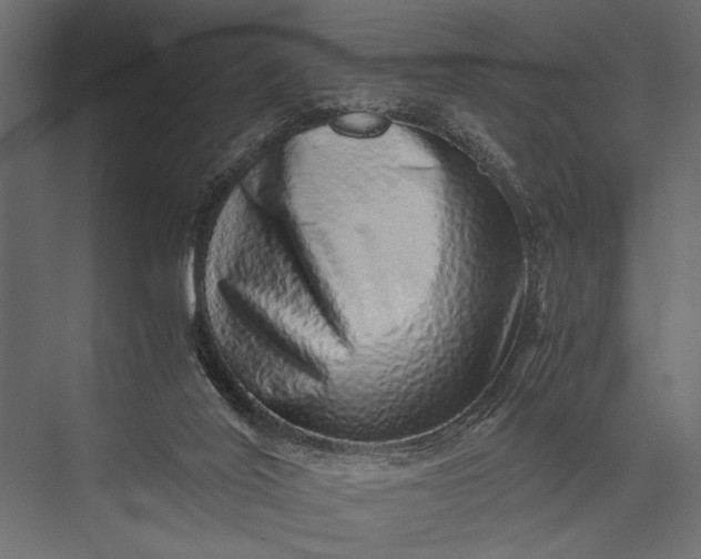 X0000076070020200610061614