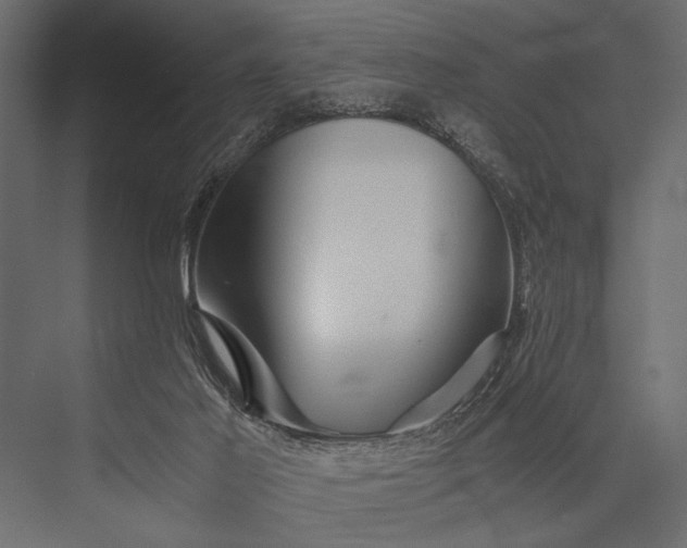 X0000076070021200610061614