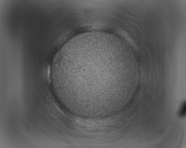 X0000076070022200610061614