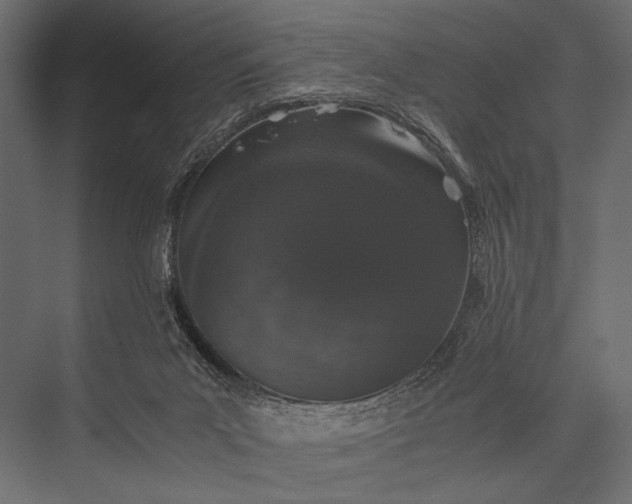 X0000076070023200610061614