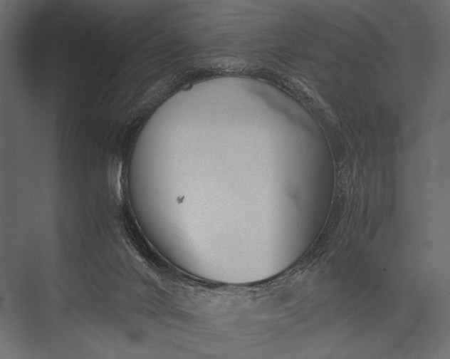 X0000076070024200610061614