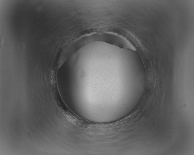 X0000076070025200610061614