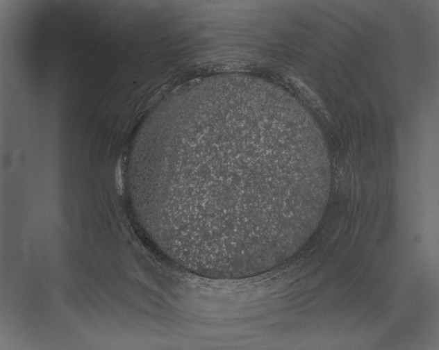 X0000076070026200610061614