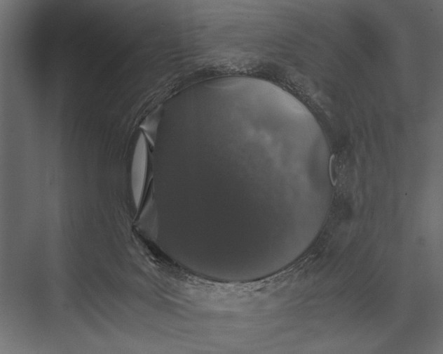 X0000076070027200610061614