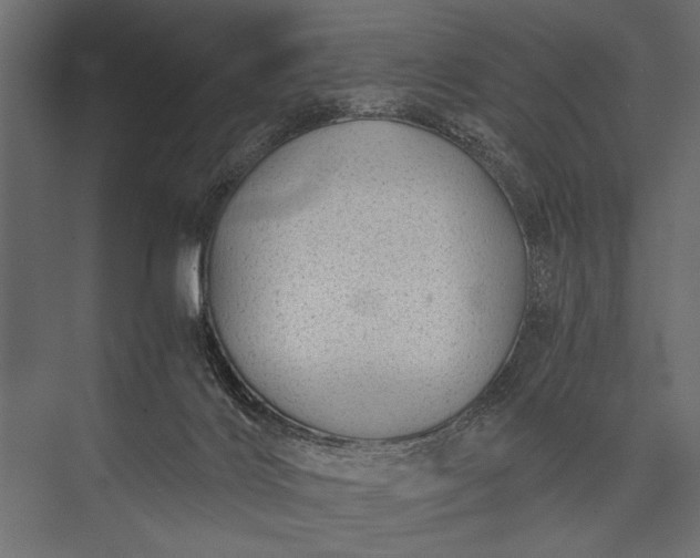 X0000076070028200610061614