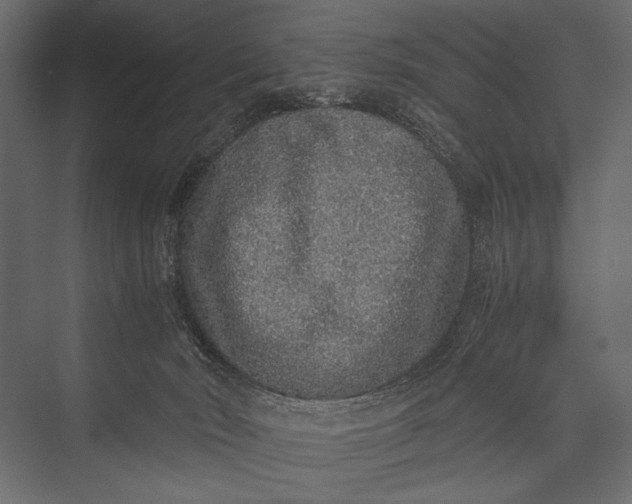 X0000076070030200610061614