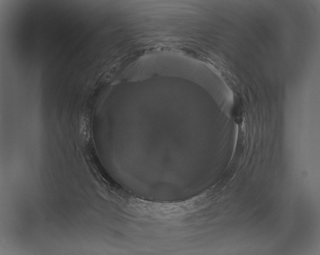 X0000076070031200610061614