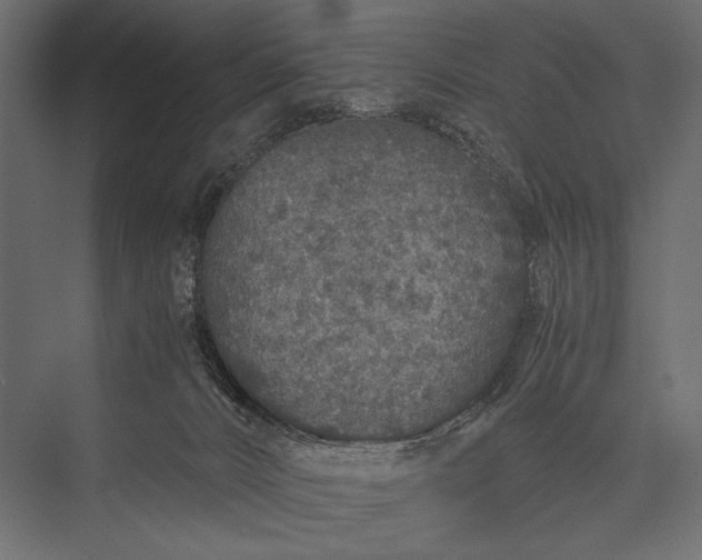 X0000076070032200610061614